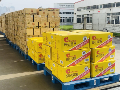 洪水无情，888集团有情——888集团捐赠物资助力抗洪救灾